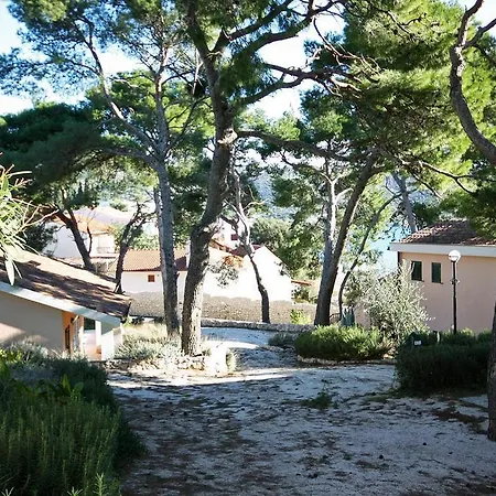 Apartment 3196b Rogoznica (Sibenik-Knin)