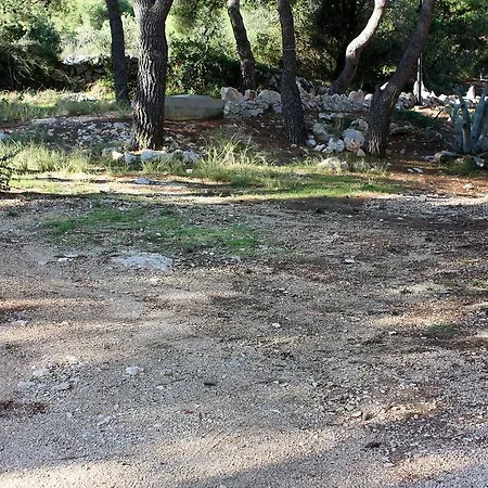 Rogoznica 3196b Rogoznica (Sibenik-Knin)